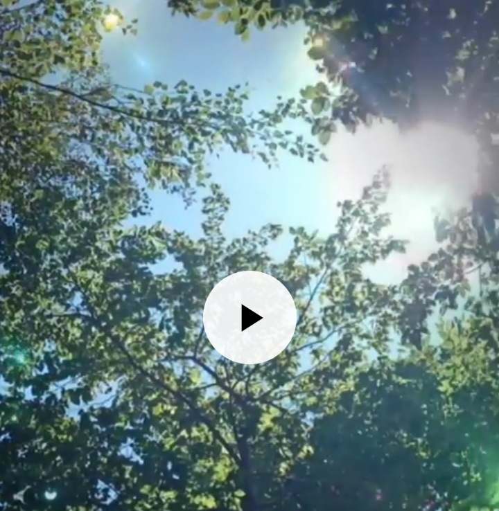Докато те чакам