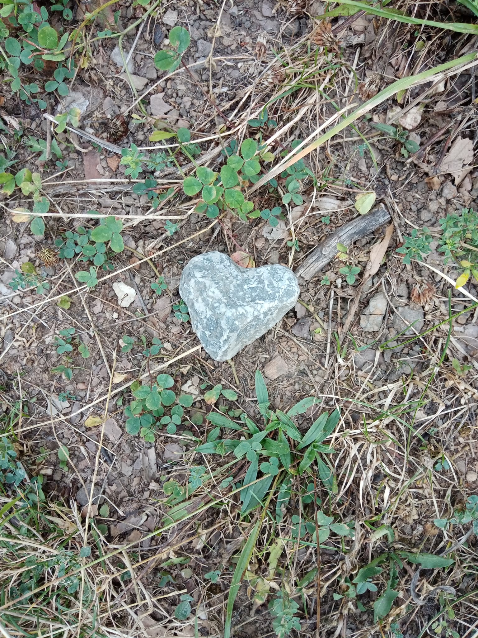 Сама